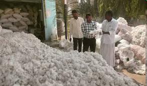 Tummala orders swift settlement of cotton farmers' pending bills