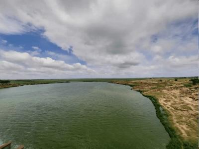 HC pulls up officials over illegal structures near Osmansagar, Himayatsagar