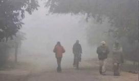 IMD-Hyderabad cold wave warning: Temperatures to plunge 4 degree C below normal