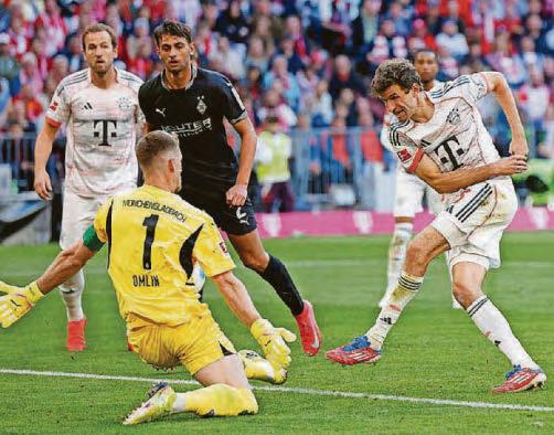 Bach of the net, Harry