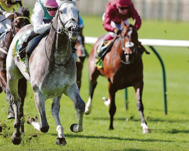 RACING: IT’S ROYAL ASCOT HAVE A FIELD DAY