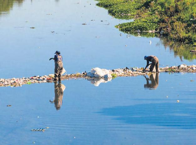 New forum to tackle pollution in the Salt River catchment