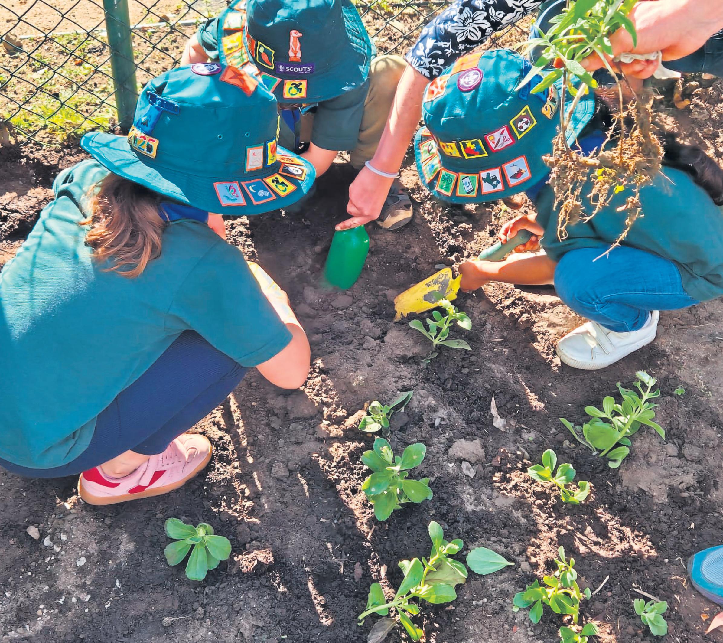 Creating greener society