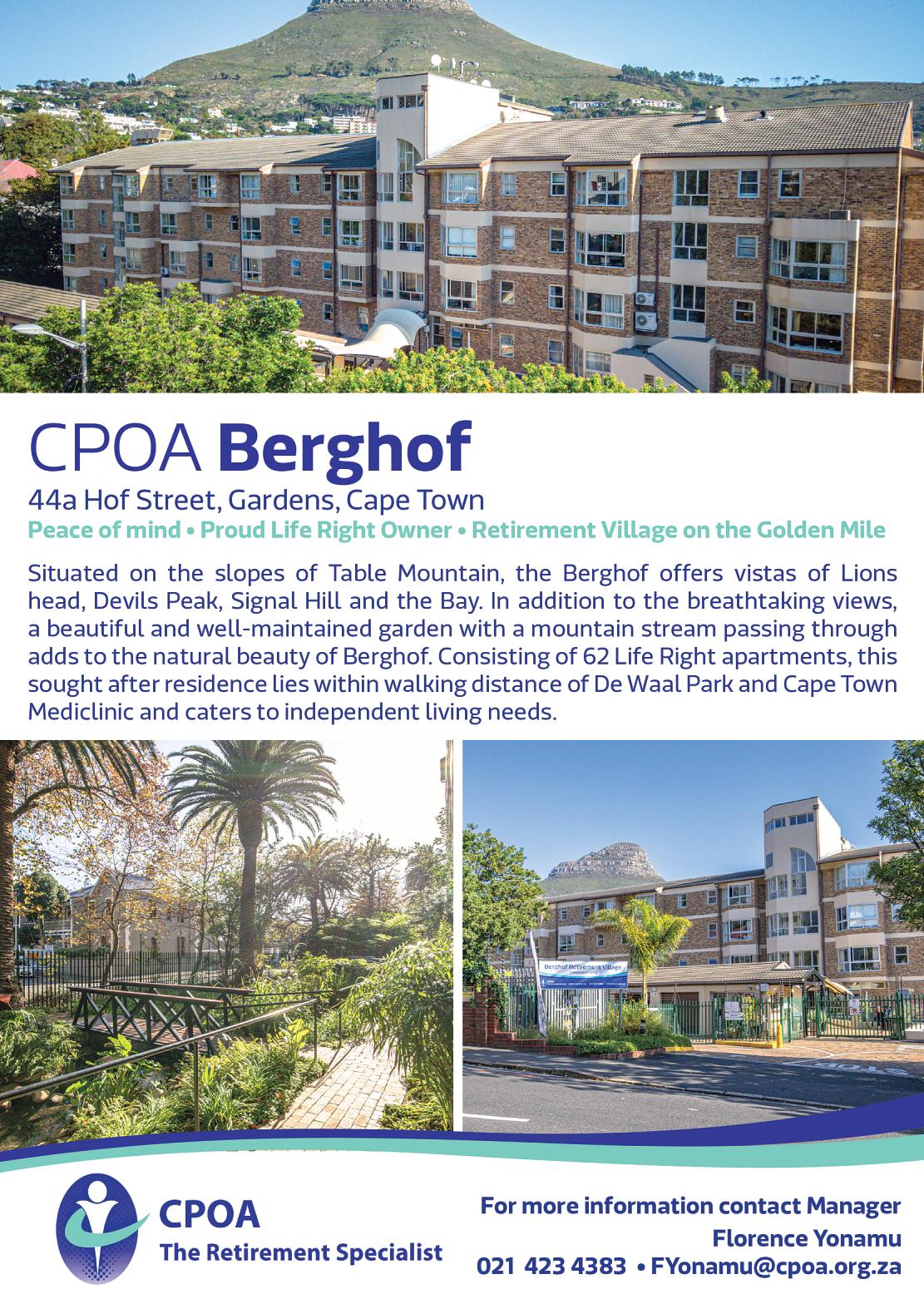 17 m Tree of Hope shines brightly