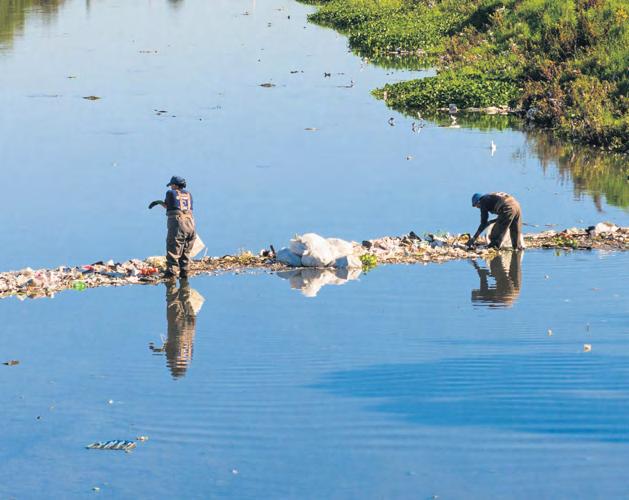 New forum to tackle pollution in the Salt River catchment