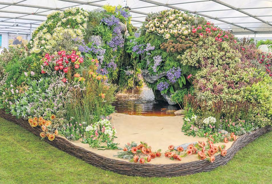 SA bags gold at global flower show