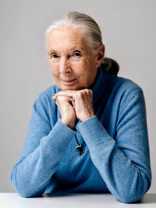 JANE GOODALL