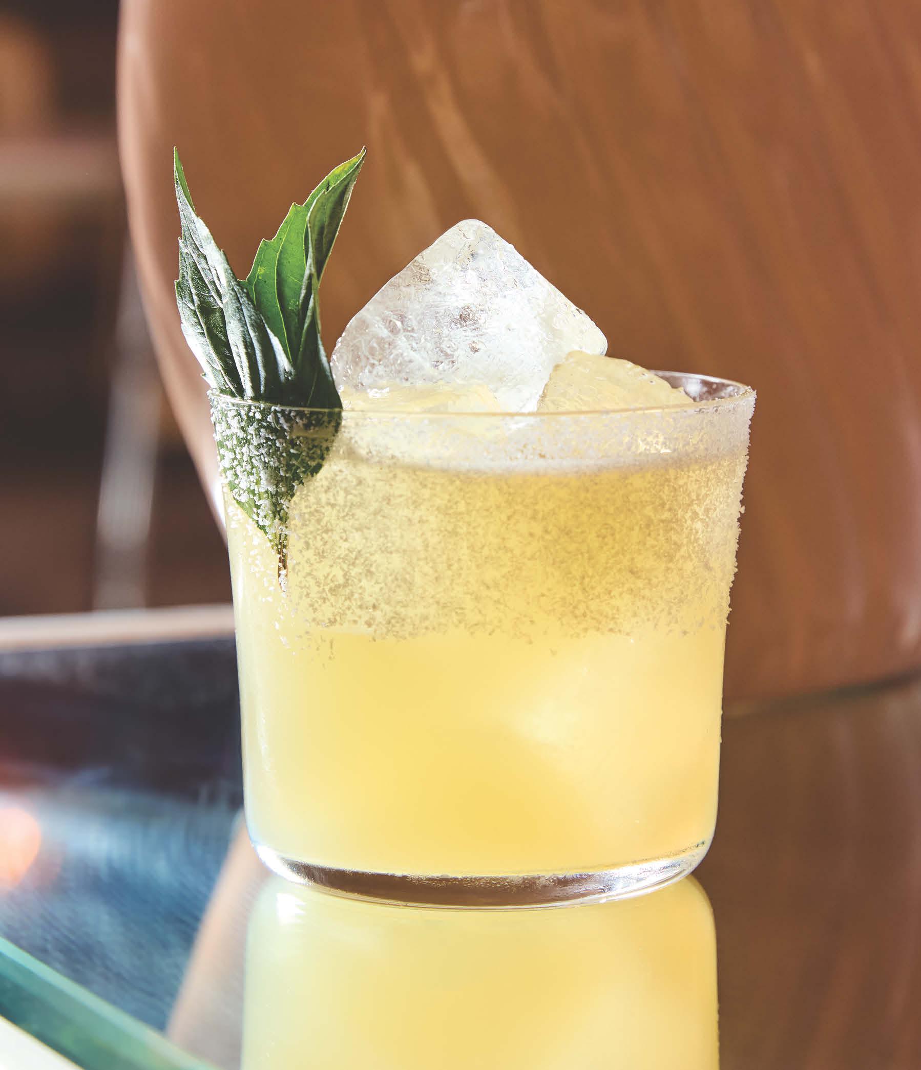 The New Margaritaville
