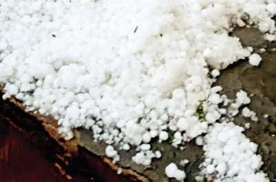 प्रदेश के कई जिलों में बारिश के साथ ओले, राहत कार्य के निर्देश