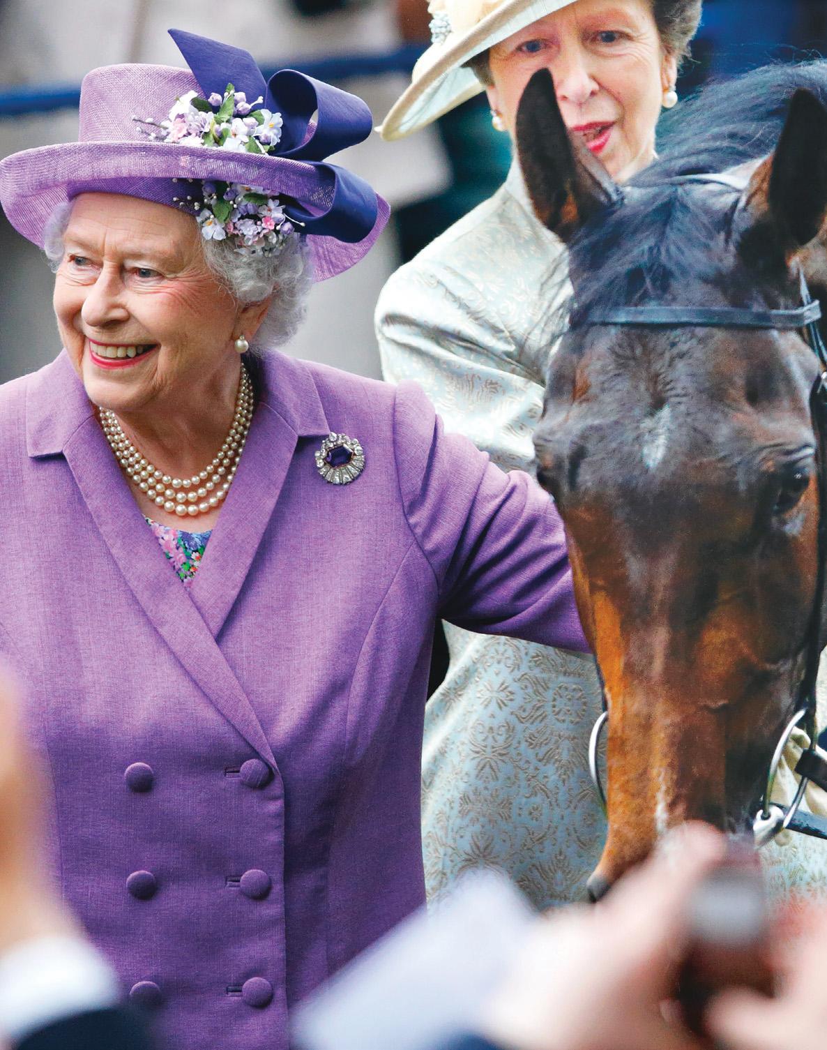 All the Queen's HORSES