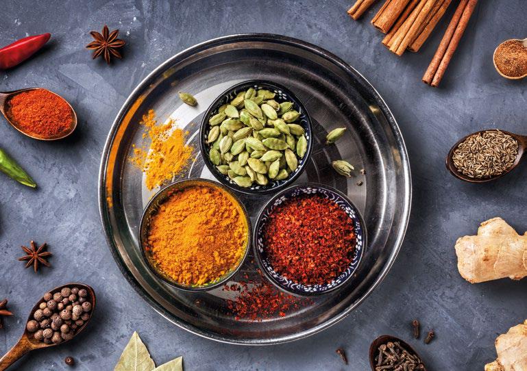 The SPICE of life
