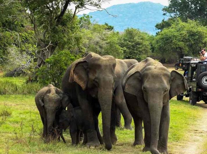 MONSOON- PERFECT NATIONAL PARKS IN INDIA