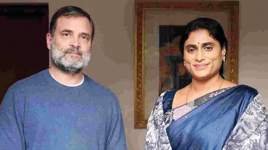 రాహుల్ గాంధీని కలిసిన ఏపీసీసీ చీఫ్ షర్మిల