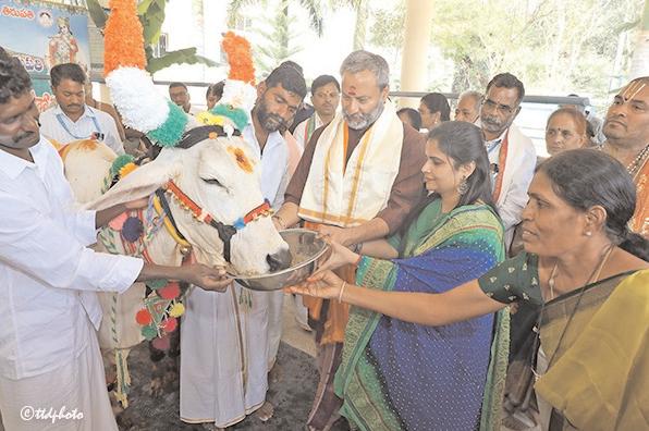 ఎస్వీ గోశాలలో ఘనంగా గోపూజ మహోత్సవం