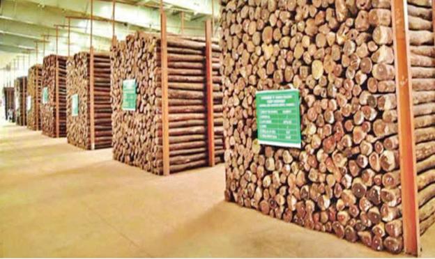 ఏపీలో వేలానికి 905 టన్నుల ఎర్రచందనం