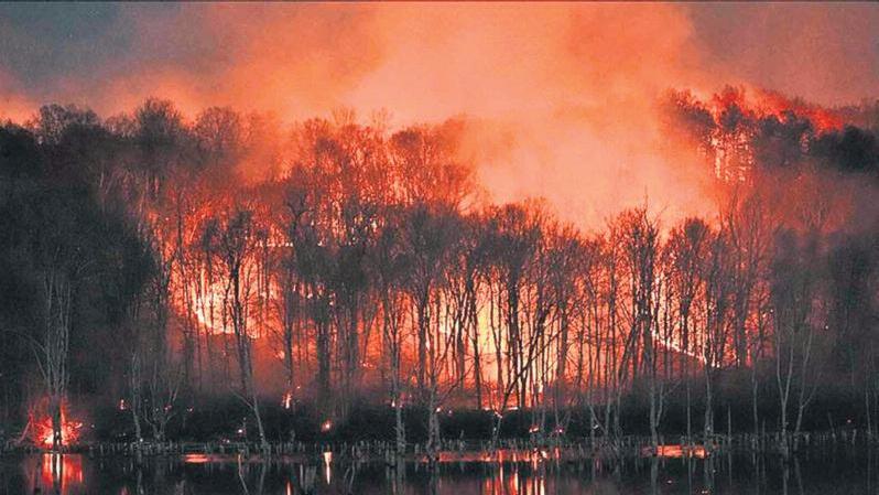 జపాన్లో రెండు కార్చిచ్చుల బీభత్సం