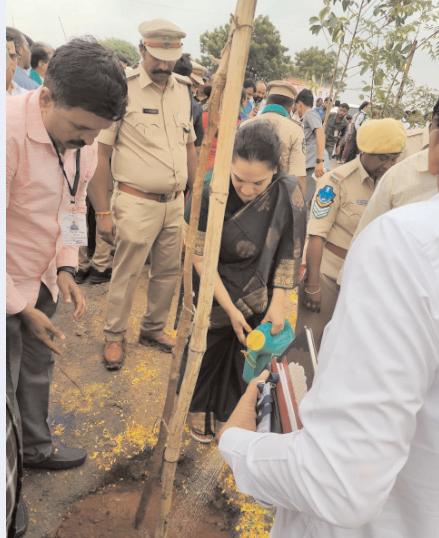 మొక్కలను నాటండి