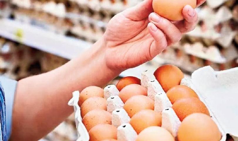 రూ.8కి చేరిన కోడిగుడ్డు