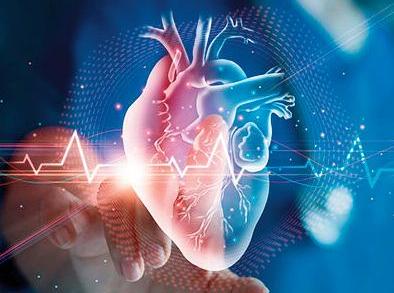 లంగ్ షీల్డ్: ఊపిరితిత్తుల క్యాన్సర్ నివారణలో జీవనశైలి & ఆరోగ్య పరీక్షల కీలక పాత్ర