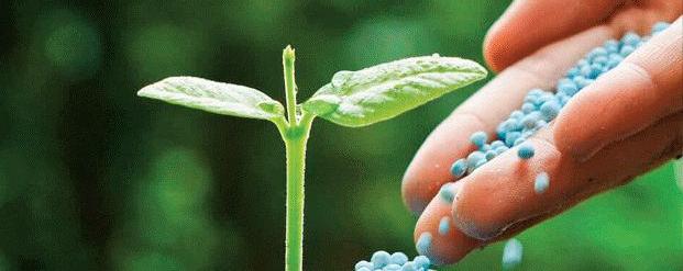 తెలుగు నేల