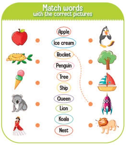 Match words with the correct pictures
