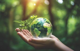 Painting a sustainable future: How India's paint industry is aligning with SDGs