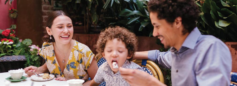 Healthy families for a stronger nation