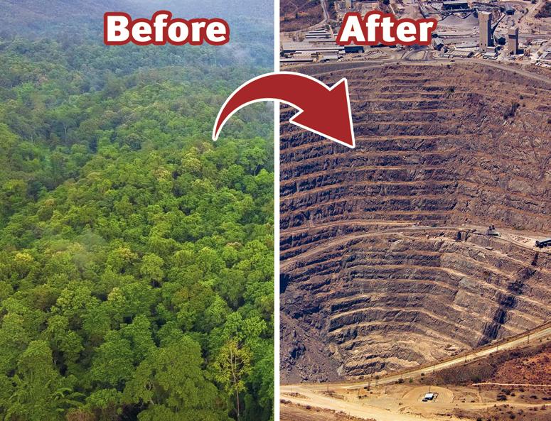 Exposing zero carbon fantasists