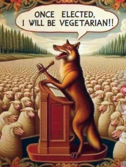 Why do we trust the political class?