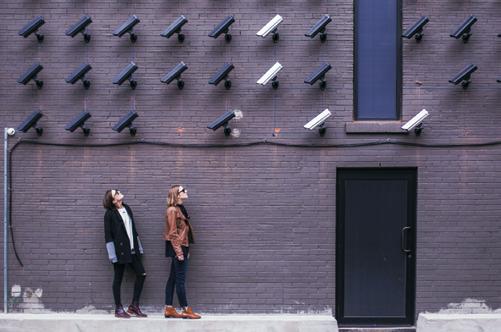 The solution: Our constitution