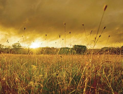 Rally cry to unite with nature