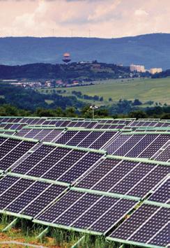 Solar plantations killing off soil