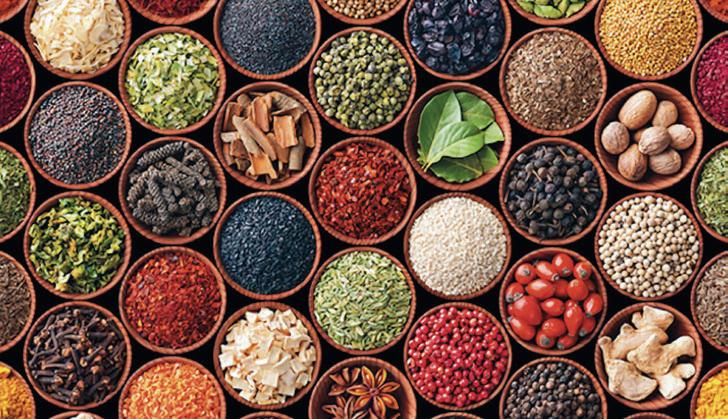 Essentials for holistic health
