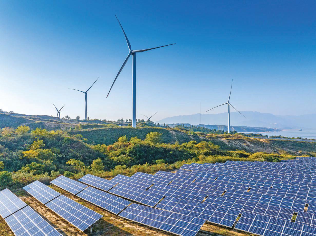 The world goes green