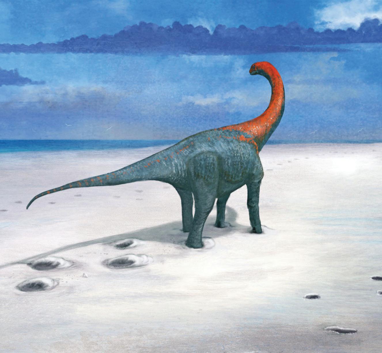 Footprints are part of dinosaur superhighway