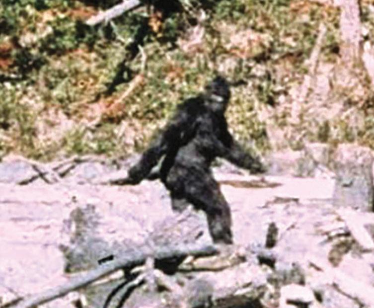 Bigfoot