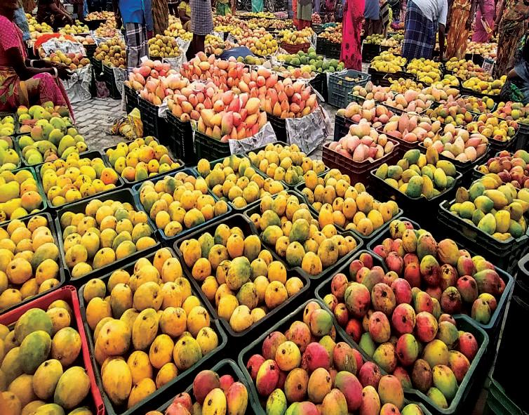ரகசிய கூட்டணி அமைத்து விலை குறைப்பு.. விவசாயிகள் கவலை.. அரசு வேடிக்கை பார்ப்பதா?