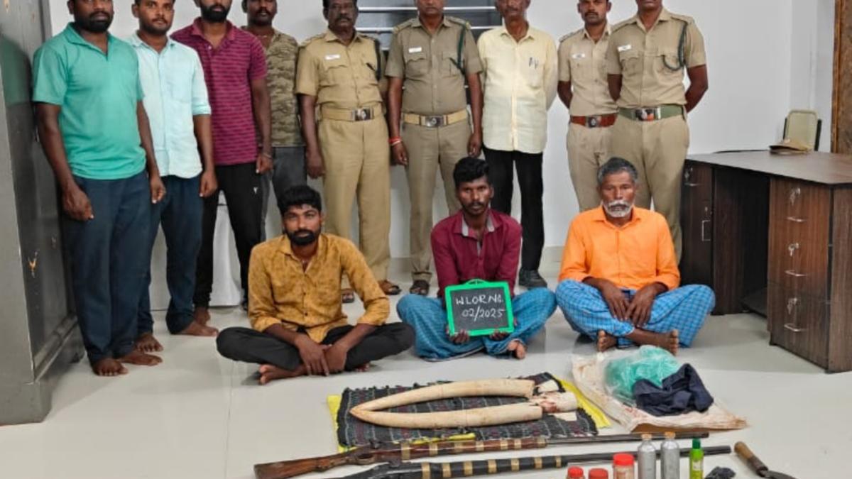 ENSURING THE SAFETY OF ELEPHANTS