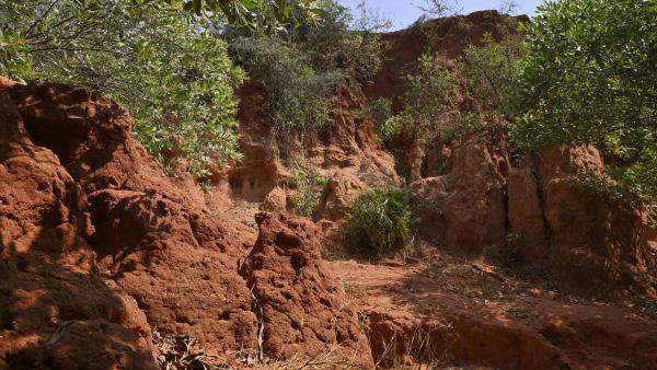 A MIOCENE-AGE CANYON IN VILLUPURAM IS A REPOSITORY OF CENTURIES OF GEOLOGICAL DATA