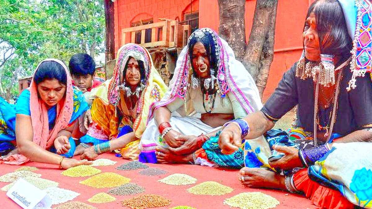 FROM MILLETS TO MISTRUST, A HARVEST GONE SOUR