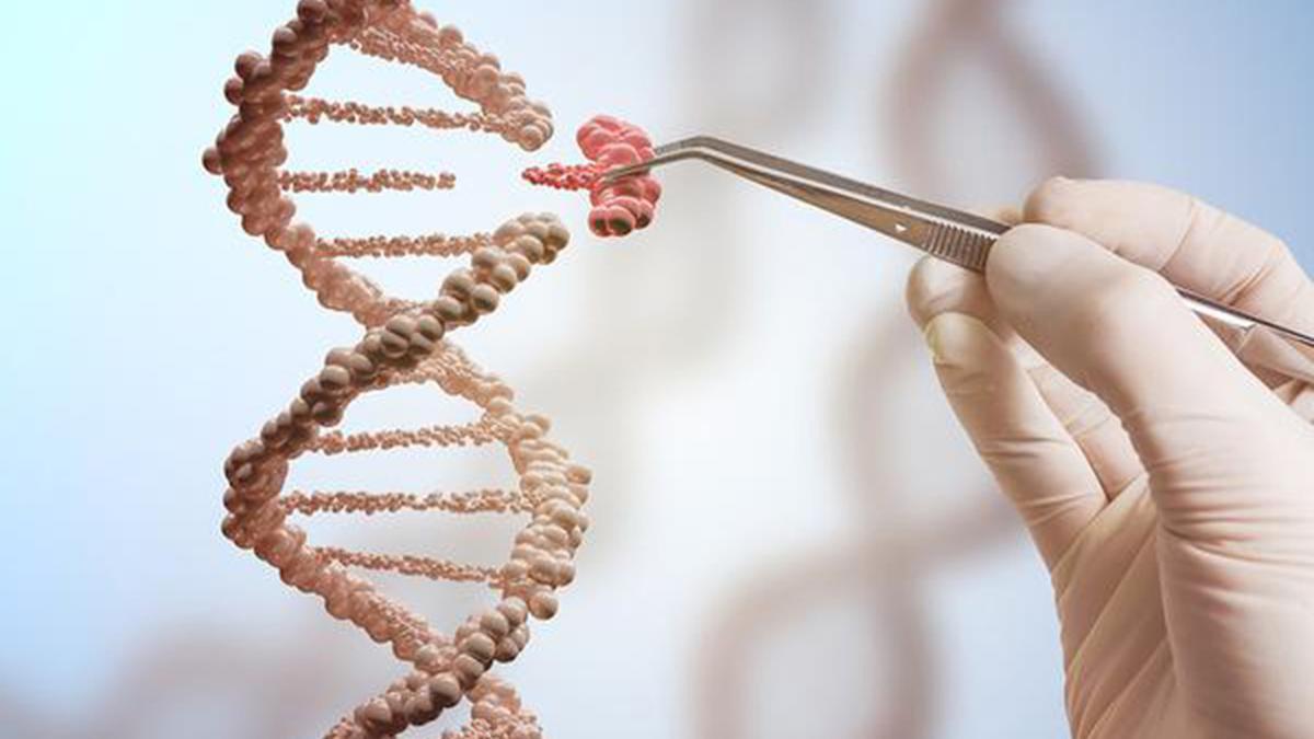 OUR BODIES PERFORM A KIND OF MRNA EDITING AND WE DON'T KNOW WHY