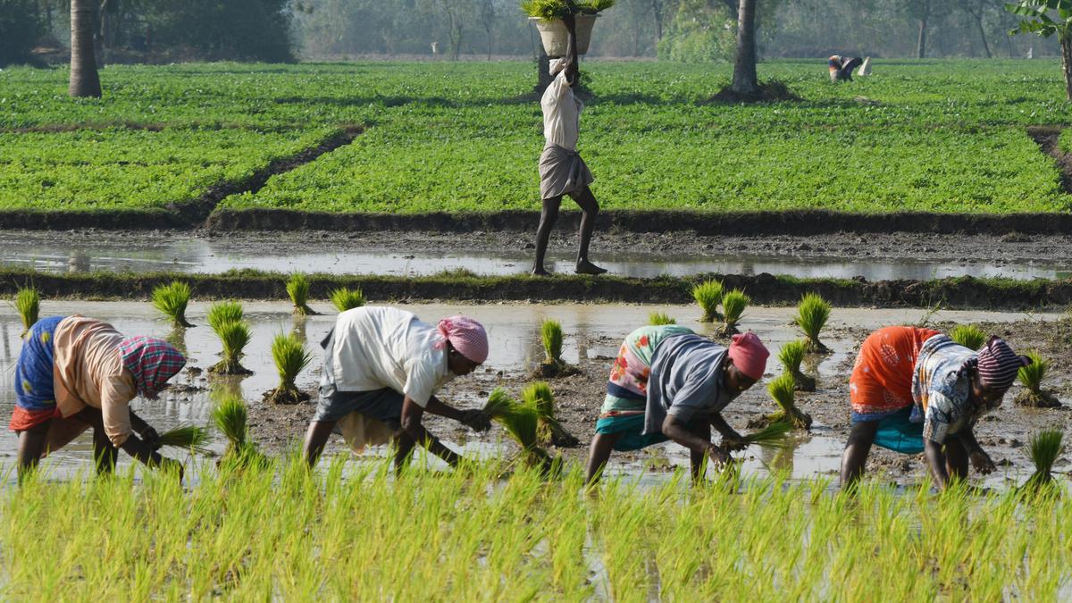 CONGRESS MLC URGES KARNATAKA TO PAY ADDITIONAL RI OF 4.25% TO NABARD TO AVAIL MORE LOANS TO GRANT FARM CREDIT