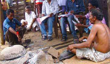 RECOGNISING ADIVASI IDENTITY IN THE CENSUS