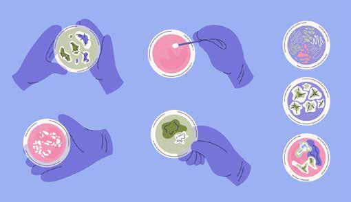 WIDELY USED FUNGICIDE FOUND TO BE DRIVING C. TROPICALIS INFECTIONS