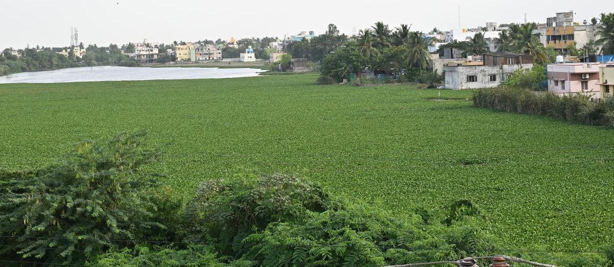 THIRUMULLAIVOYAL, A FAST-DEVELOPING SUBURB, STRUGGLES WITH POOR ROADS AND WATER WOES