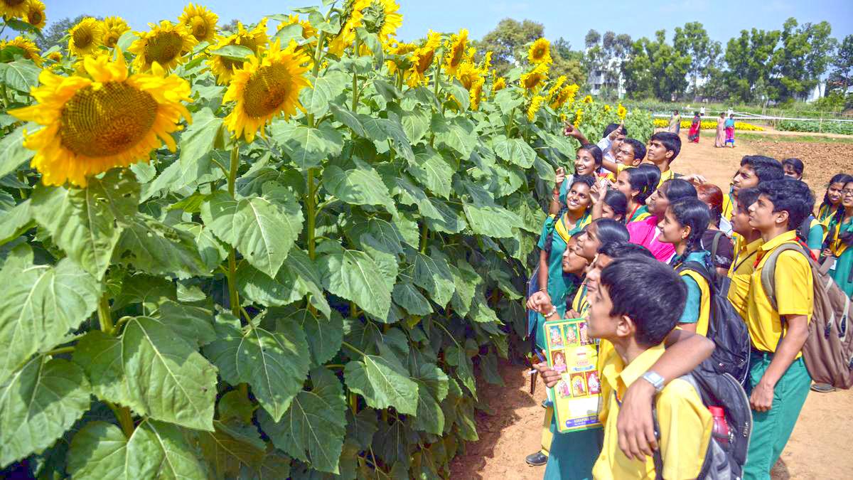 UAS-B MAKES AI AND ML PROGRAMMES MANDATORY FOR ALL AGRICULTURAL SCIENCE STUDENTS IN BENGALURU CAMPUS