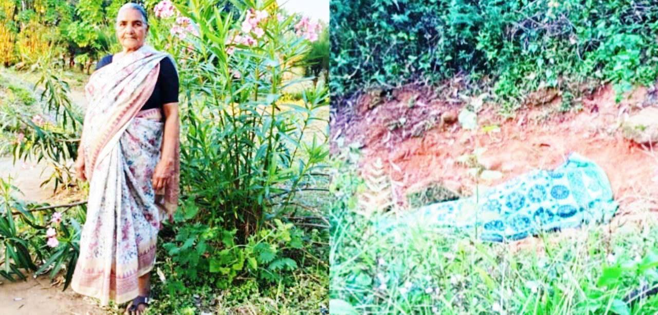 வால்பாறை சோலையார் டேம் பகுதியில் காட்டு யானை தாக்கி பெண் உயிரிழப்பு