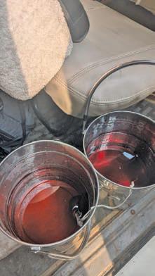 Gangs making fake honey, fake desi ghee busted in Srinagar