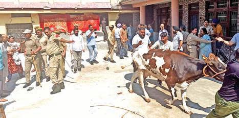 JMC takes action against unregistered dairies