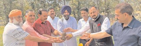 BJP Poonch conducts district-wide plantation drive to promote green environment